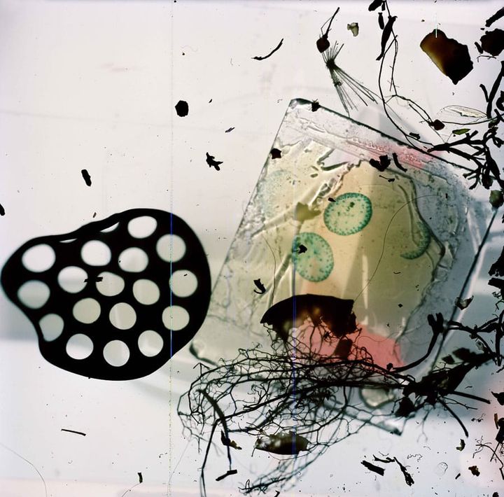 The World Inside a Camera