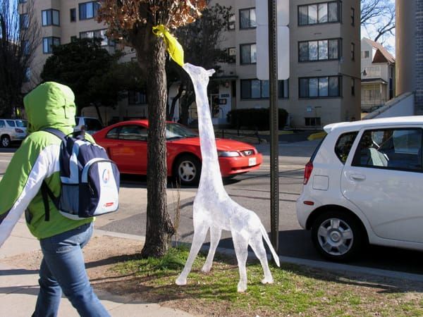 Let No Man Scare You