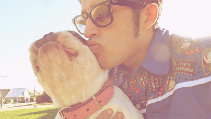 The Problem of the Flying Puppies