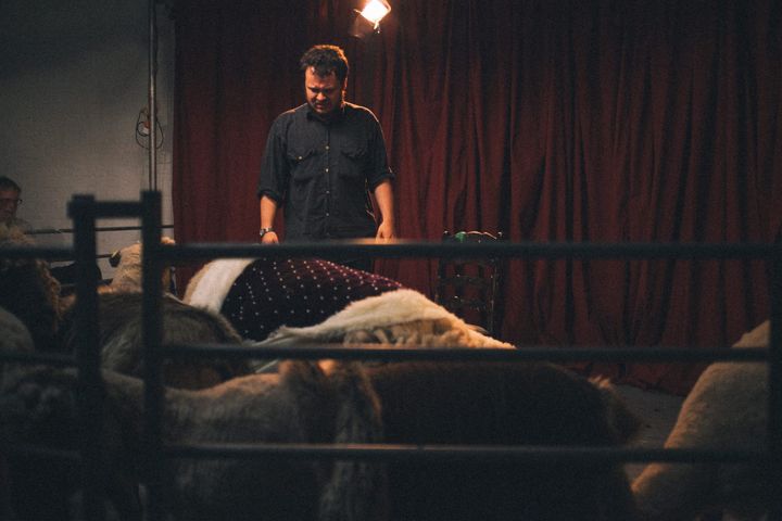 King Lear With Sheep