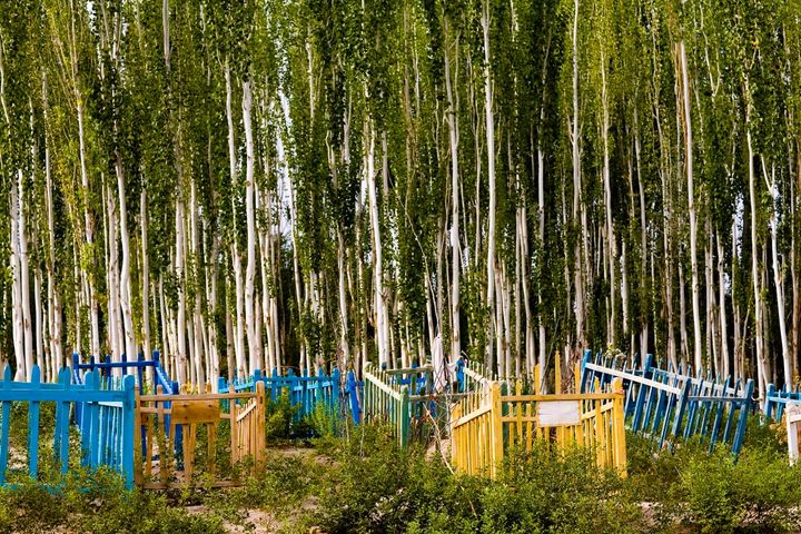 No Blanket Left Behind