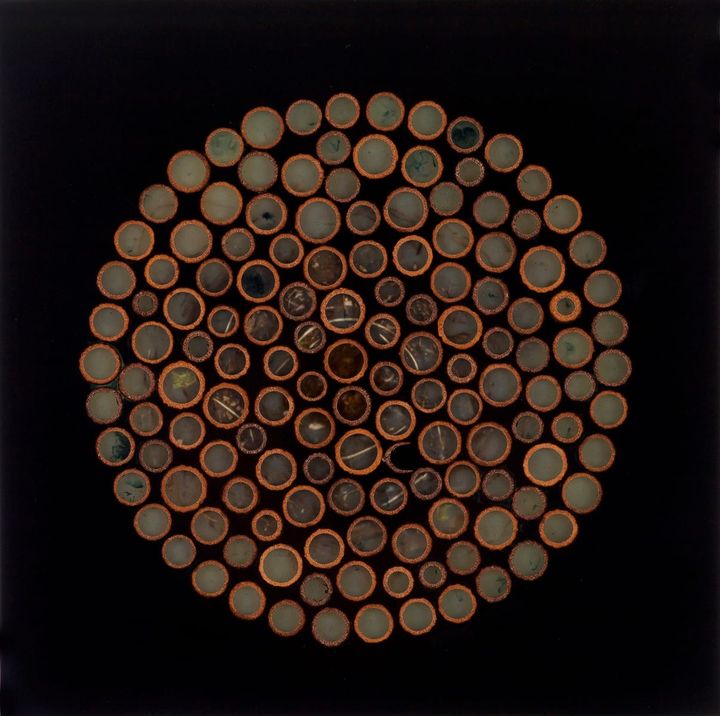 The Dosa Gentrification