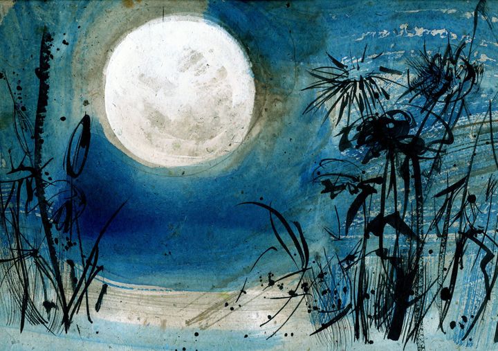 The Lost Pondshiners