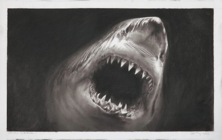 This Was No Accident