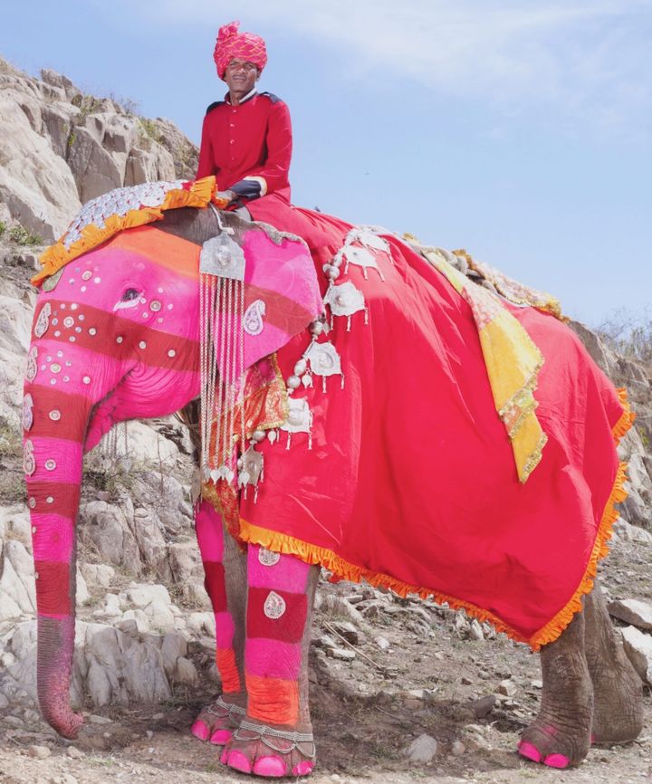 Water From Elephants