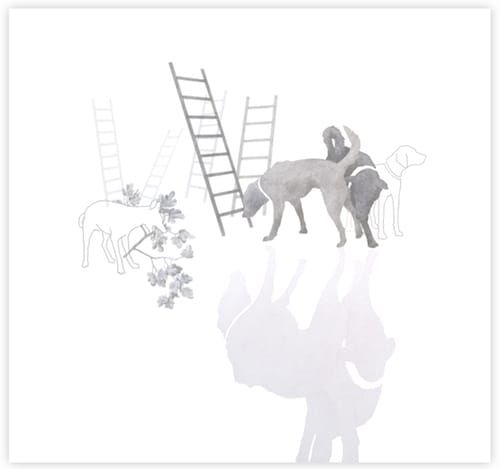 Dogs Like Prog, Pop Is for Humans