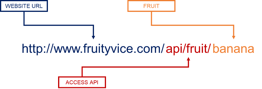 Diagram illustrating how to construct an API call for FruityVice. The URL is broken down into three parts: the blue section represents the website URL (http://www.fruityvice.com), the red sec