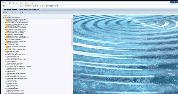 Animation shows the SAP toolbar at the bottom of the SAP GUI window, including a record-and-playback option for automation. The toolbar indicates that a recording session is in progress, whic