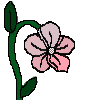 Pixel Bloom
