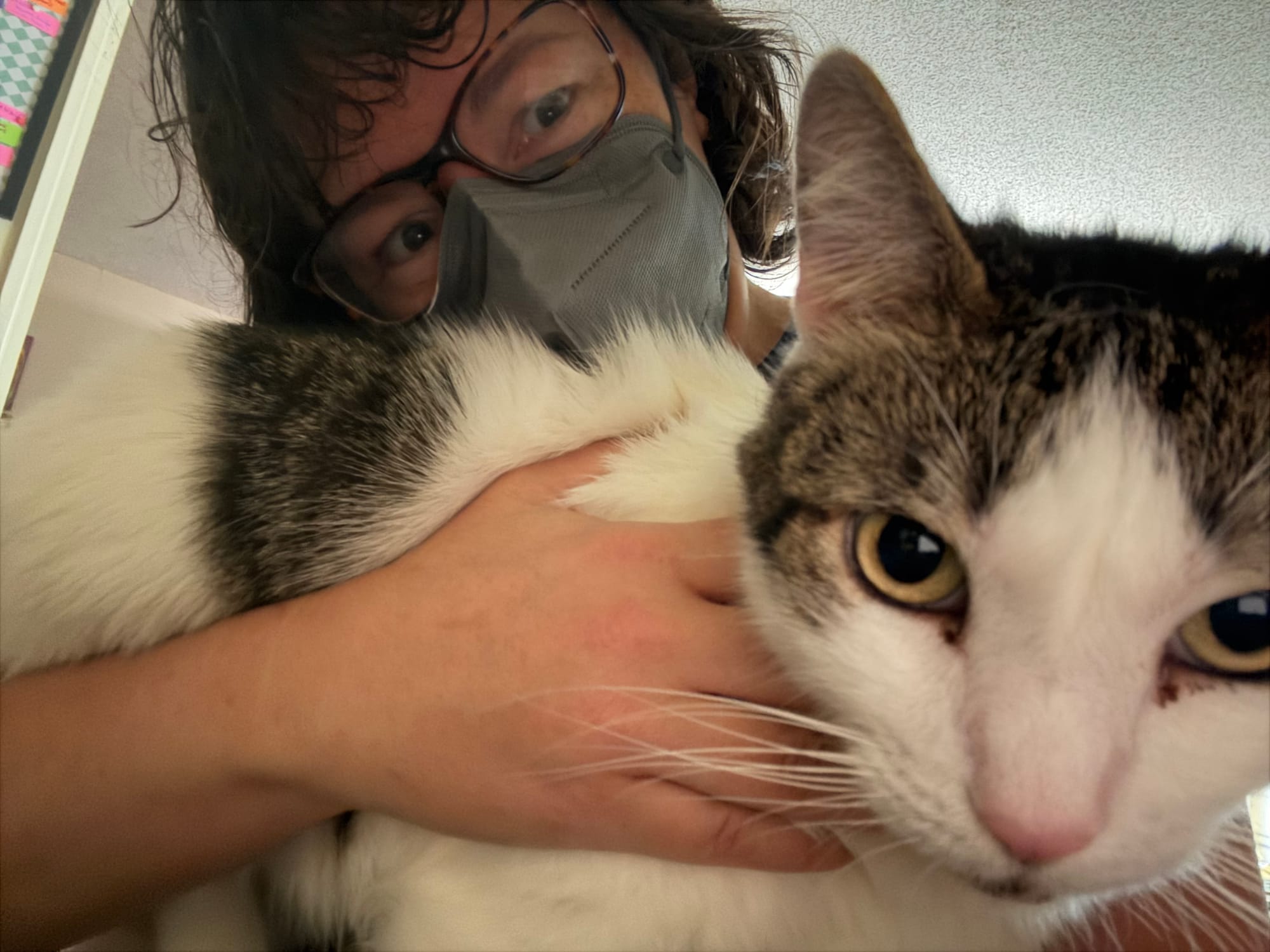 Our friend and cat-sitter Liz holding Dirtbag Henry