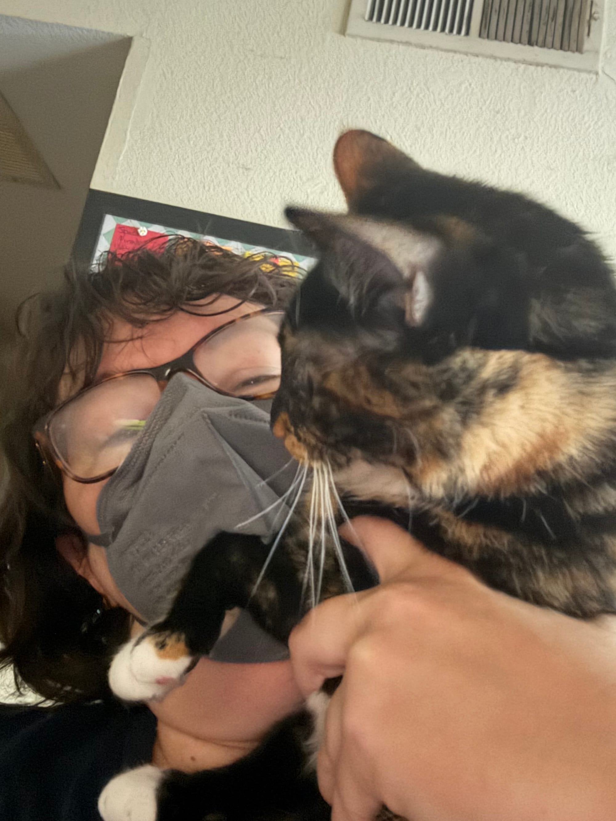 Our friend and cat-sitter Liz holding Izzy