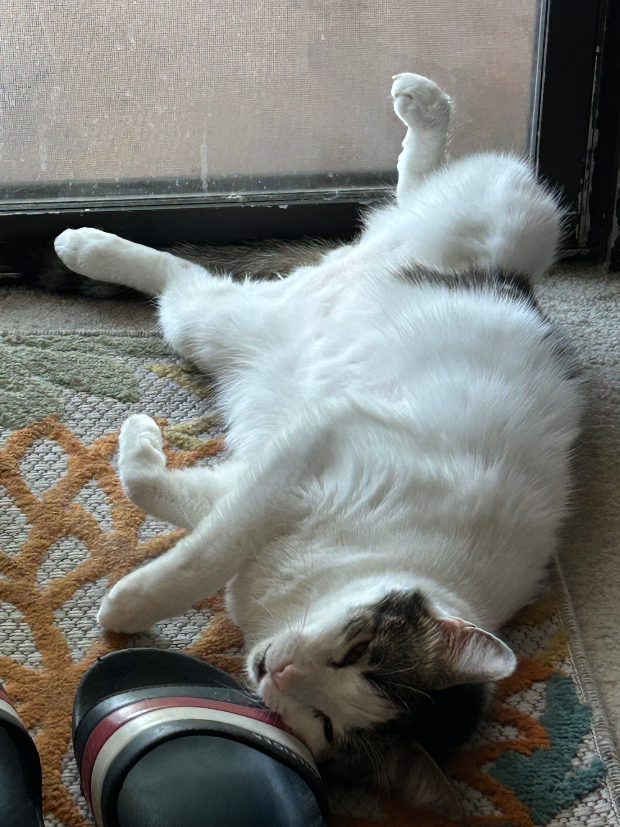 Henry lying on his back, legs wide open, showing his junk to the window