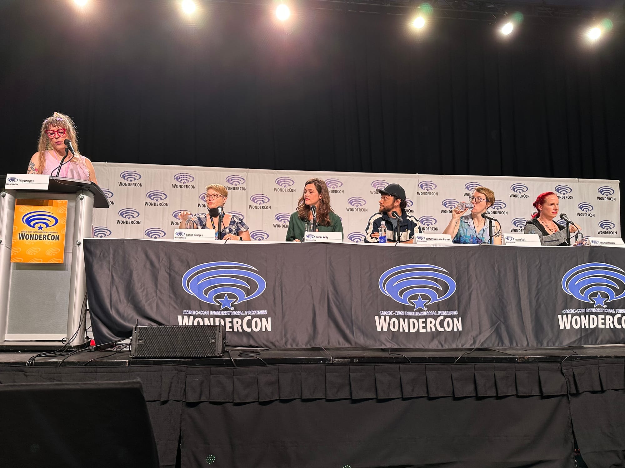 The full panel on stage, under bright lights, during the discussion