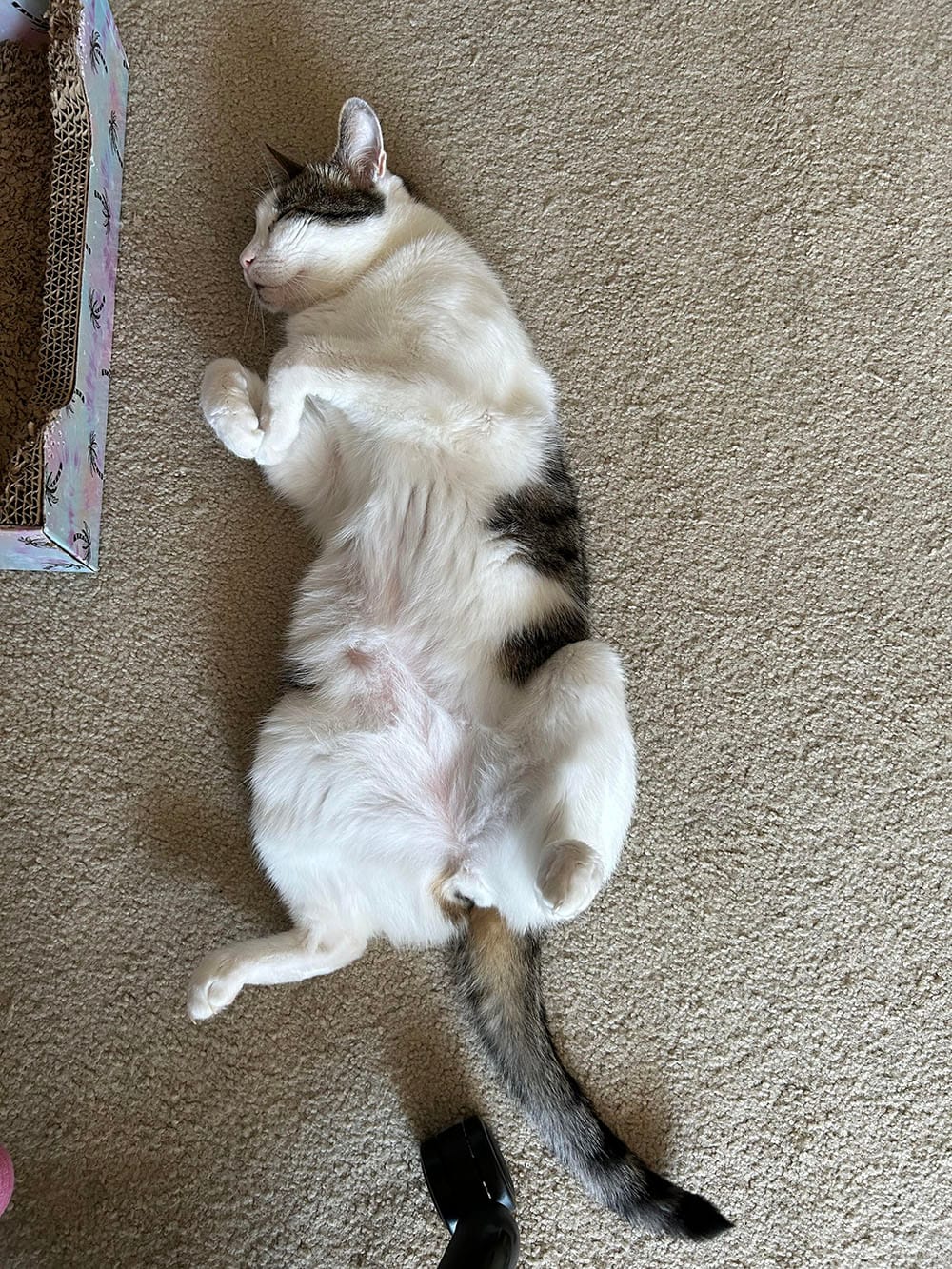 Henry sleeping on his back, toes curled
