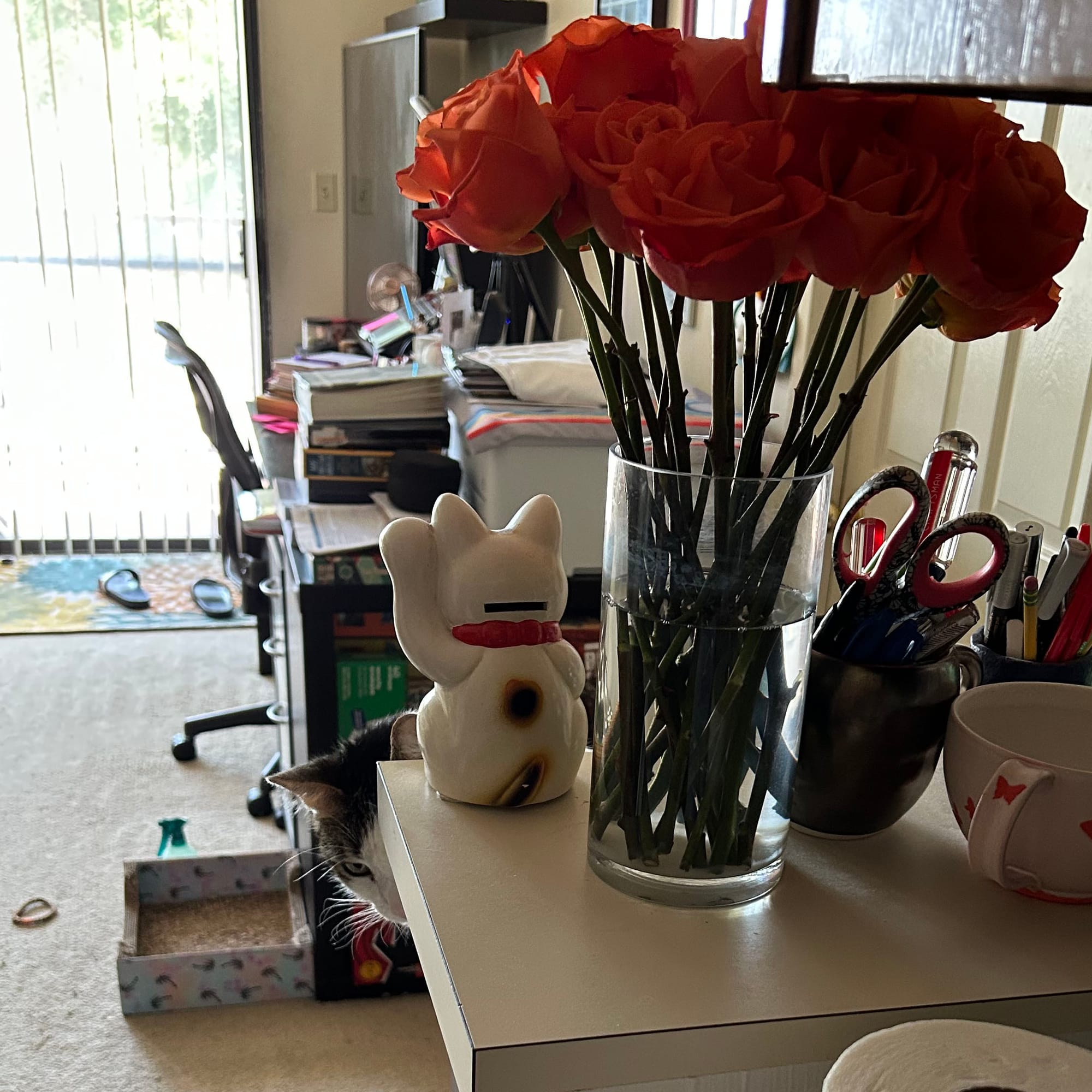 A little head is peeking around the far side of the counter that the roses are on