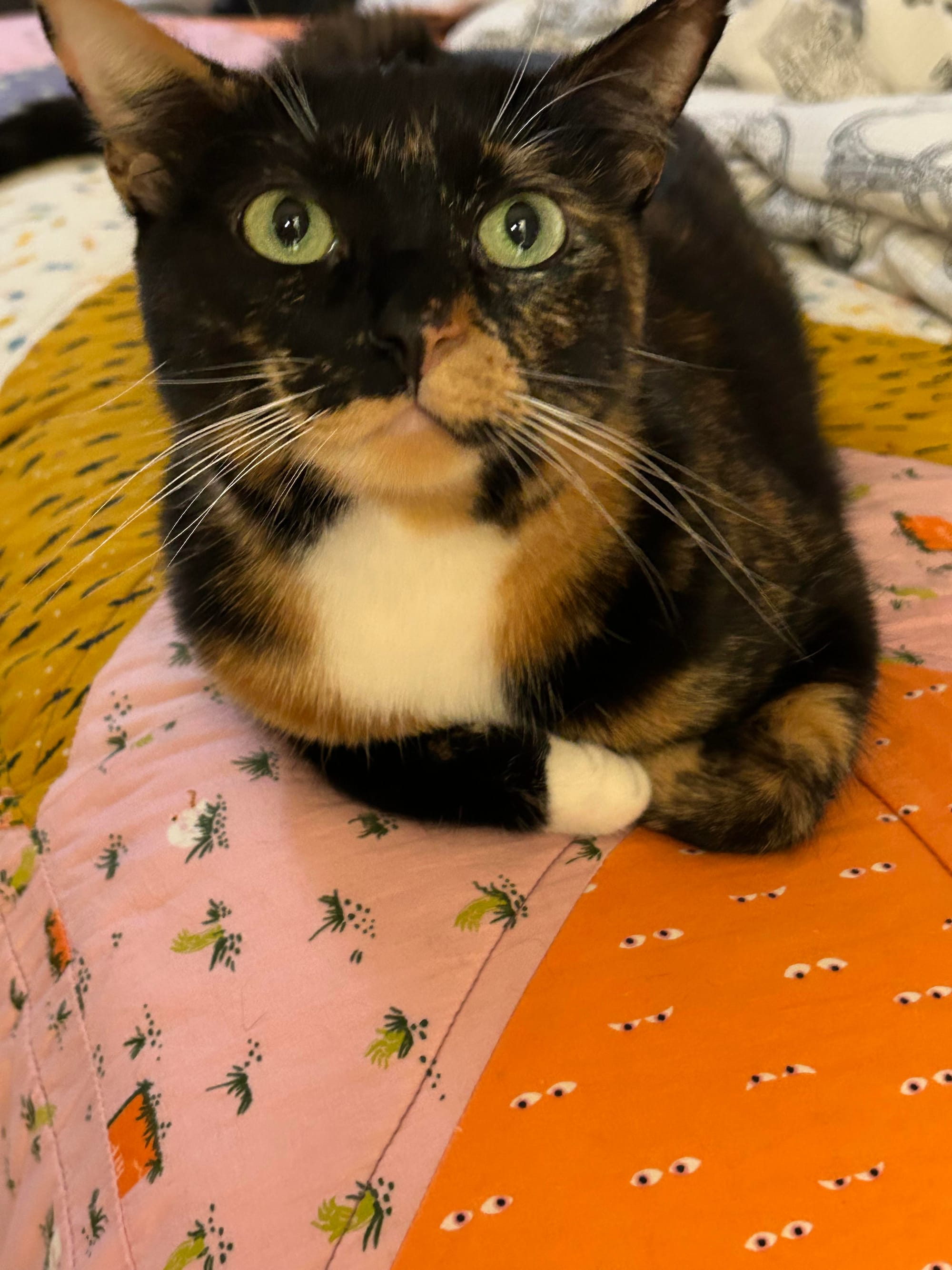 Izzy lying on a bed with her toes primly tucked under her
