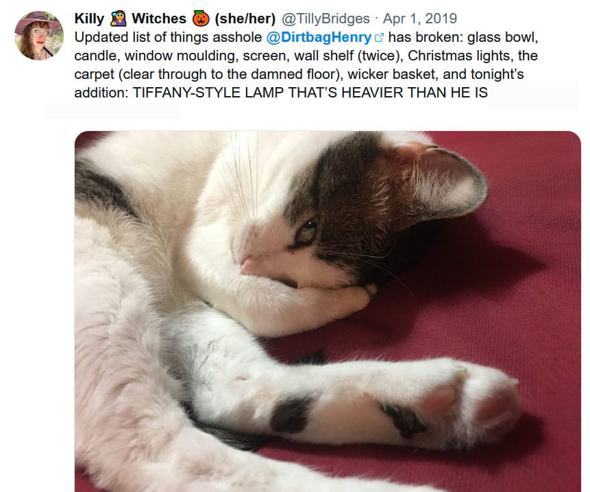 Social media post from Tilly on April 1, 2019 that reads: Updated list of things asshole Dirtbag Henry has destroyed: glass bowl, candle, window molding, screen, wall shelf (twice), Christmas lights, the carpet (clear through to the damned floor), wicker basket, and tonight’s addition: TIFFANY-STYLE LAMP THAT’s HEAVIER THAN HE IS. Included is a photo of Henry lying down with paw covering one eye, and peeking out with the other. He looks very unrepentant.