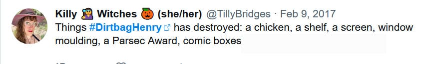 Social media post from tilly on Feb 9, 2017 that reads: Things Dirtbag Henry has destroyed: a chicken, a shelf, a screen, window molding, a Parsec award, comic boxes