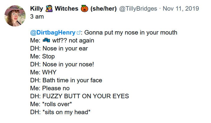 social media post Tilly made on Nov 11 2019 that reads: 3 am Dirtbag Henry: gonna put my nose in your mouth Me: wtf?? Not again DH: nose in your ear Me: stop DH: nose in your nose! Me: WHY DH: bath time in your face Me: please no DH: FUZZY BUTT ON YOUR EYES Me: *rolls over* DH: *sits on my head*