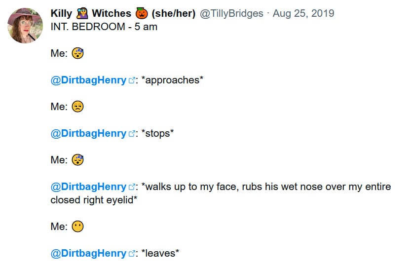 Social media post from tilly on Aug 25, 2019 that reads: INT. BEDROOM – 5 am Me: [sleeping emoji] Dirtbag Henry: *approaches* Me: [side eye emoji] DH: *stops* Me: [sleeping emoji] DH: *walks up to my face, rubs his wet nose over my entire closed right eyelid* Me: [blank face emoji] DH: *leaves*