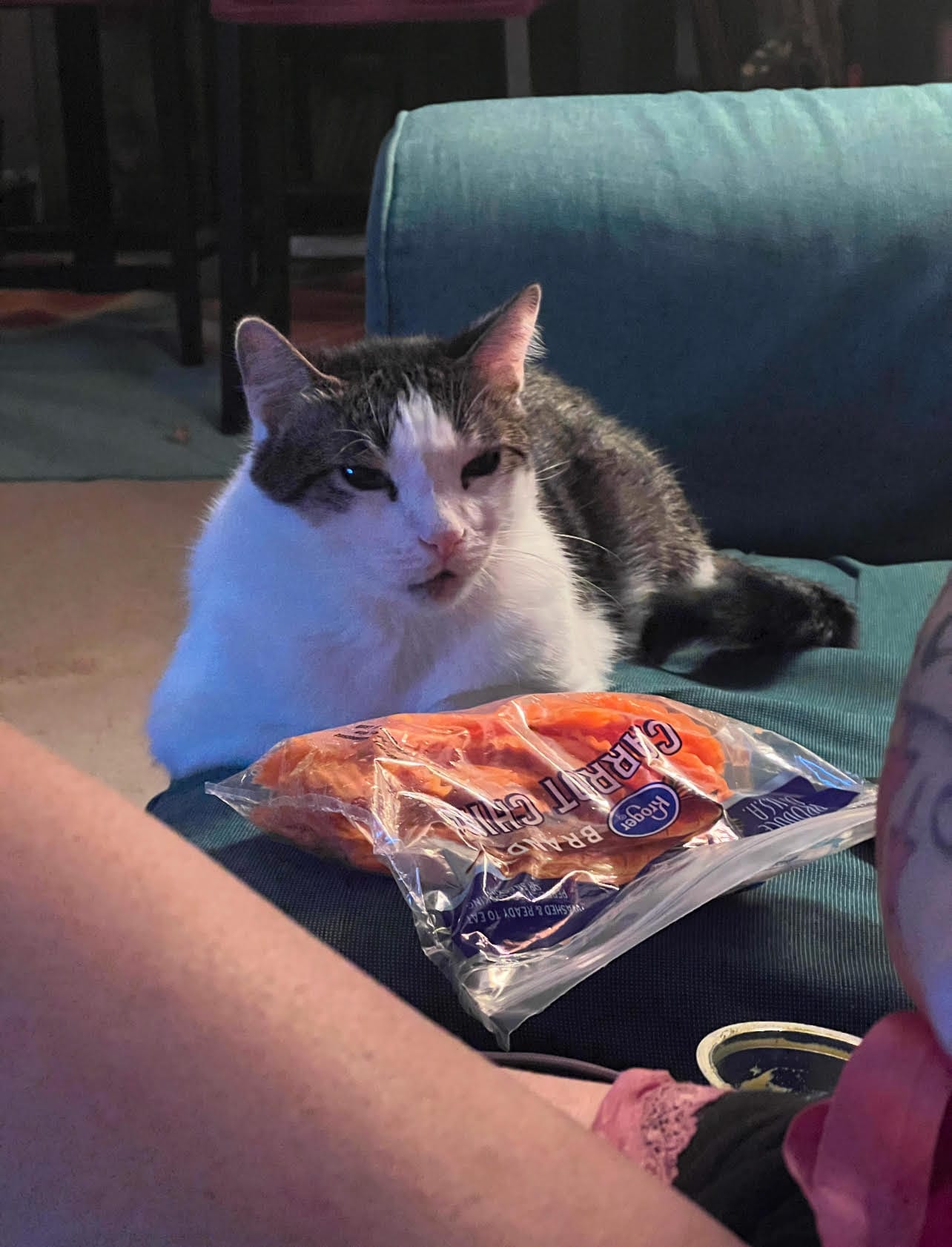 Dirtbag Henry creeping up on a bag of baby carrots