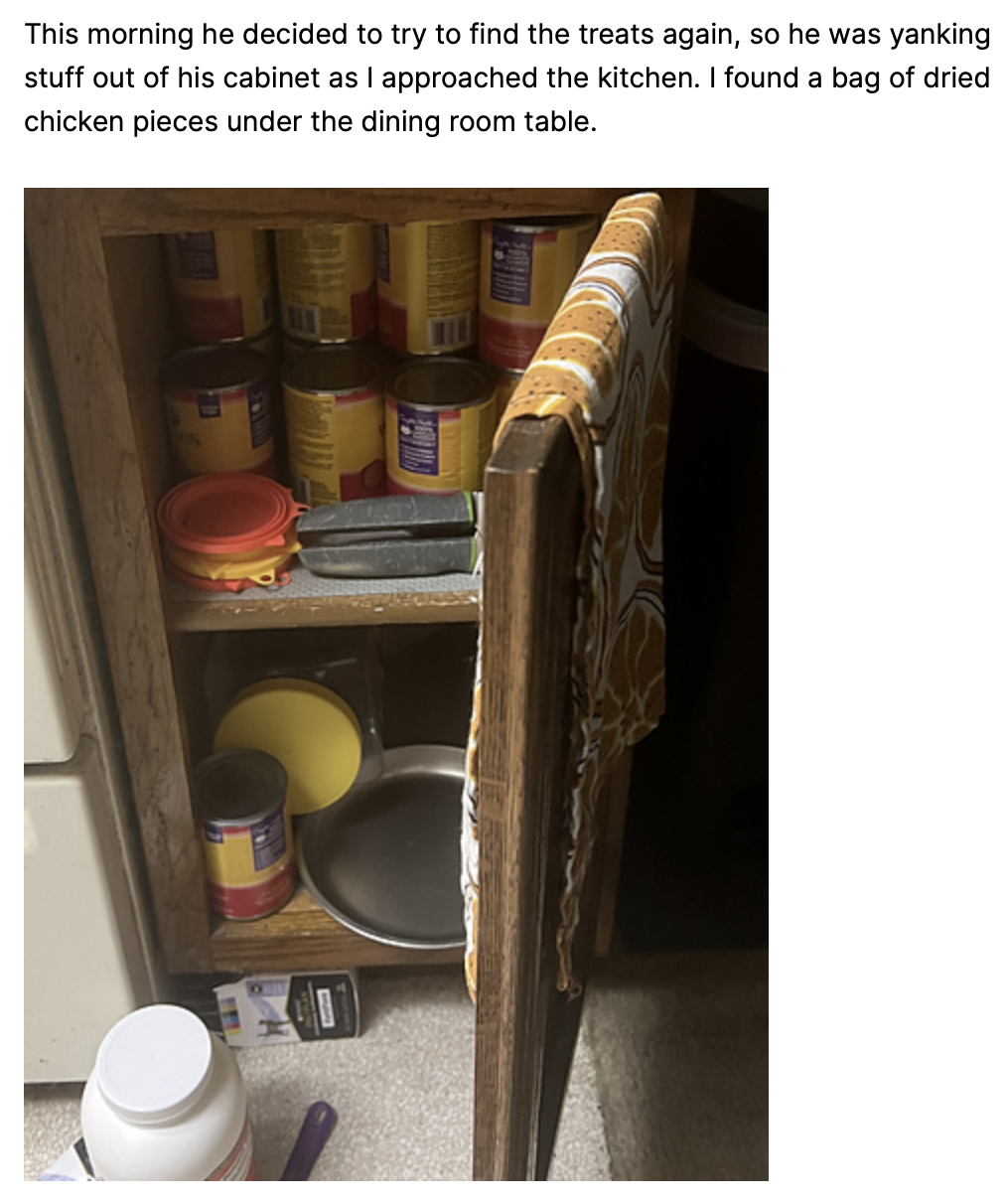Social media post Susan made, with a photo of a cabinet full of cat food and supplies that has been rummaged through with things knocked out onto the floor. Text reads: This morning he decided to try to find the treats again, so he was yanking stuff out of his cabinet as I approached the kitchen. I found a bag of dried chicken pieces under the dining room table.