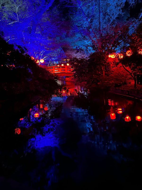 2024 year in review! holy dang!