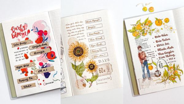 Một số thuật ngữ thường dùng về sổ