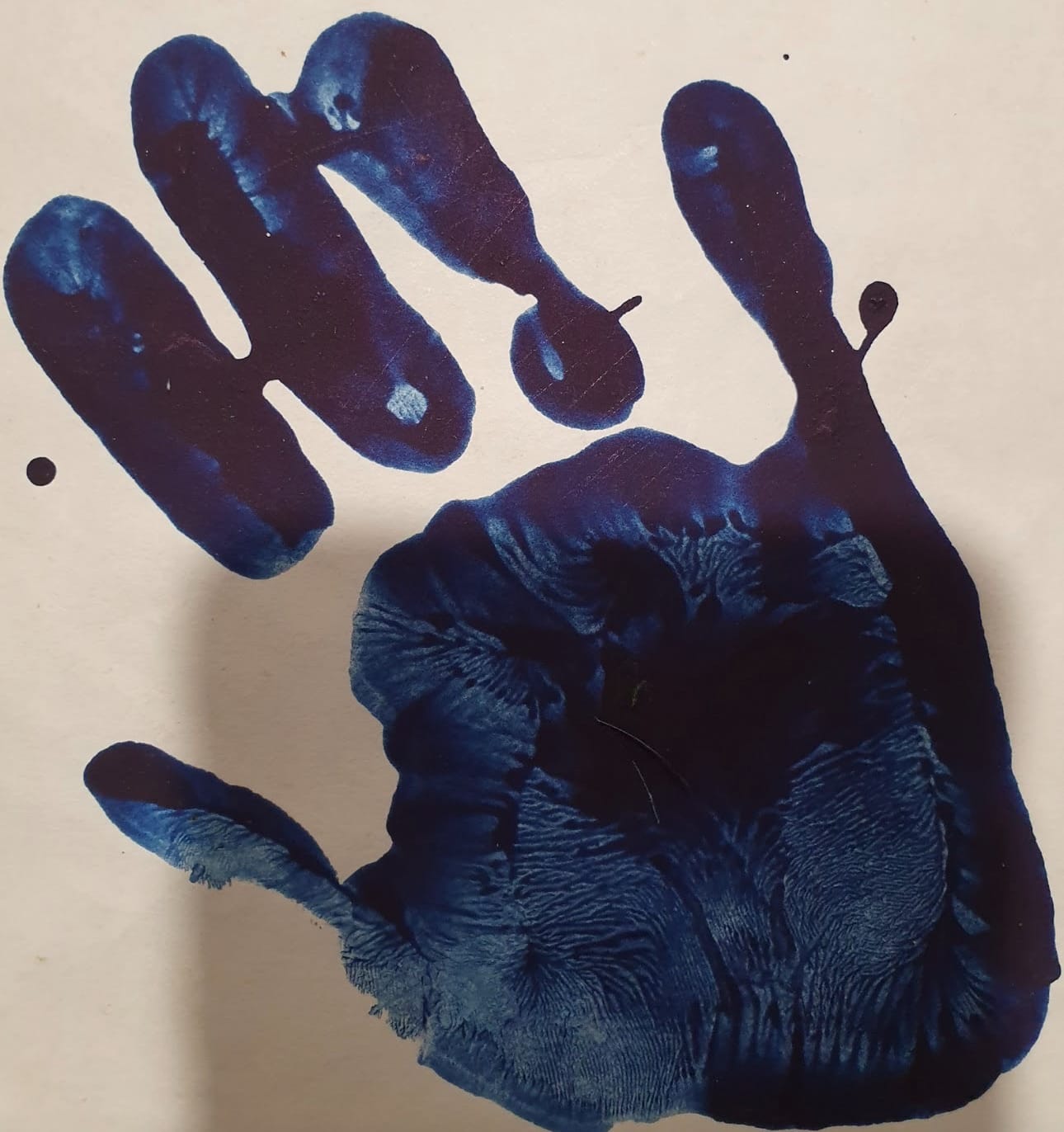 Where Some Light Shines In.