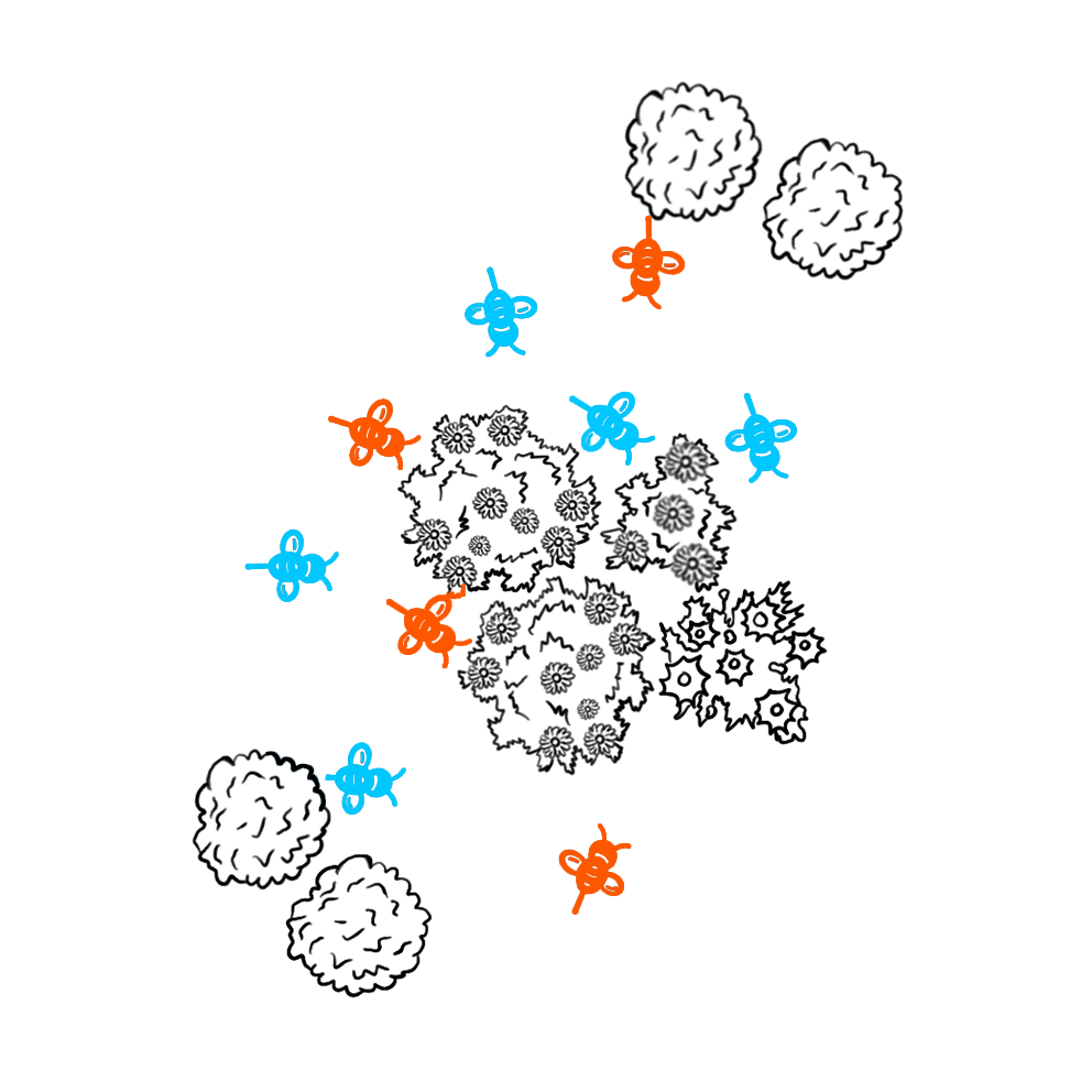 Optimization: Finding the best solutions