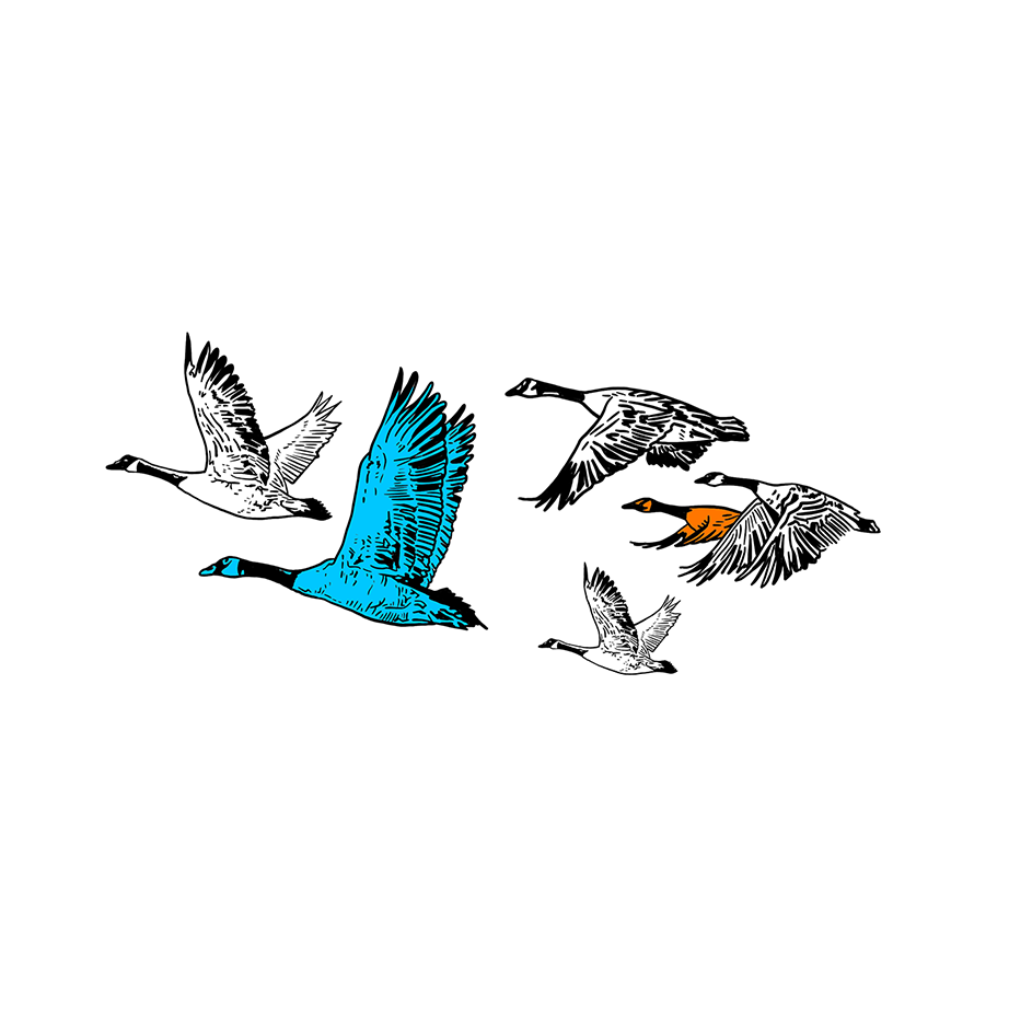 Intuition of particle swarm optimization