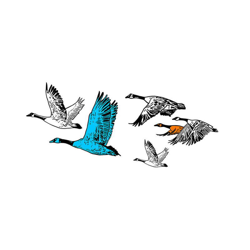 Intuition of particle swarm optimization