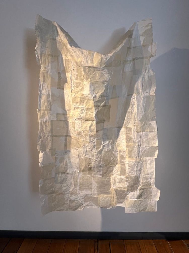 The Picks | January 2024