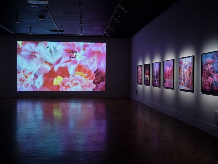 Devices and desires | Feb 2024