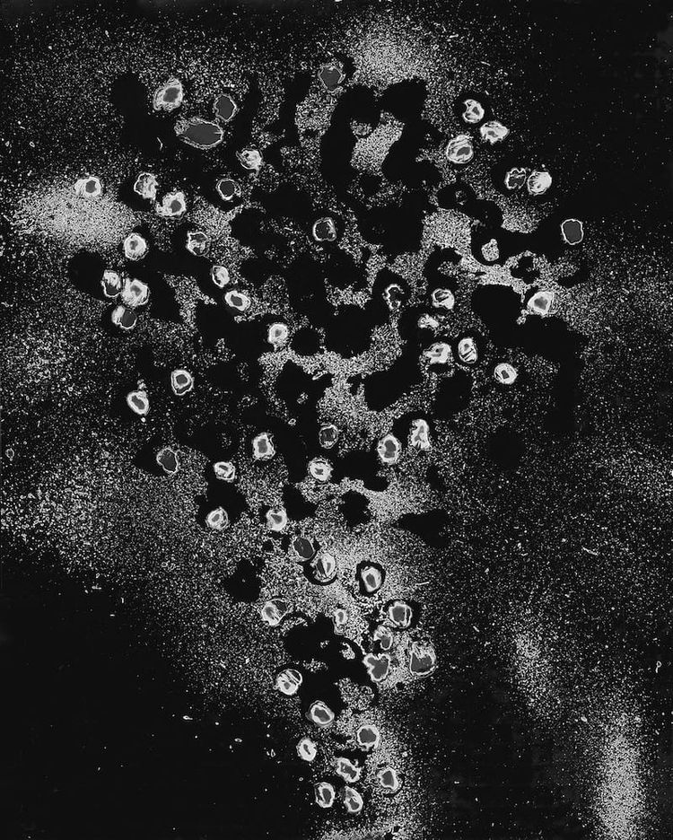 The Picks | Mar 2024