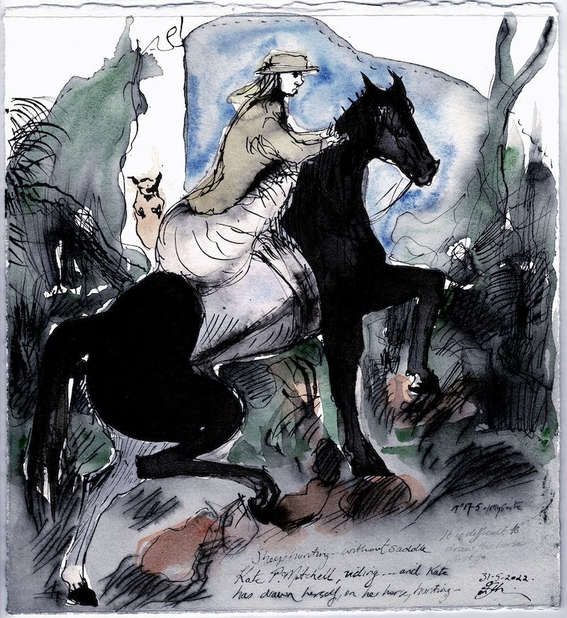 Backyards of all kinds | October 2023