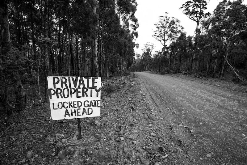 Queer joy | November 2023