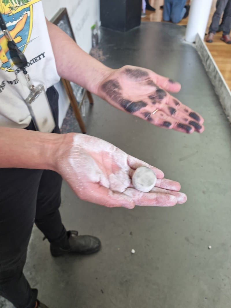 Artist, Lucienne Rickard's hands, palms up, one is cover in white substance, the other is covered in graphite. 