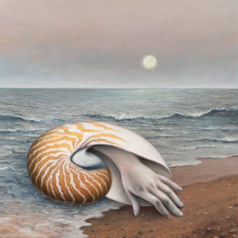 Interior Topographies