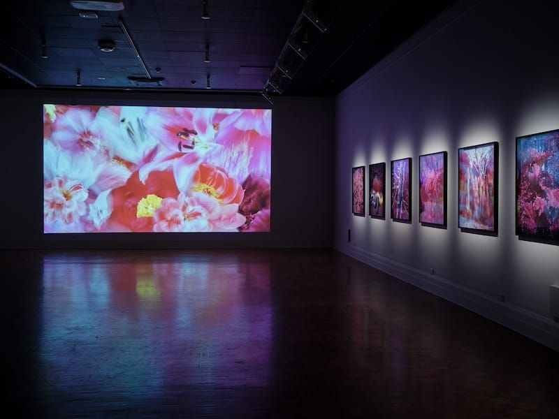 Devices and desires | Feb 2024