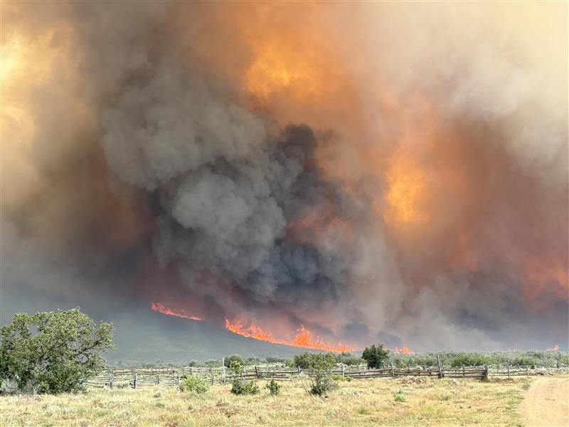A forest fire on a slope with a great deal of smoke and flame towering over a foreground of grassland, scrub brush, and old wooden fencing.
