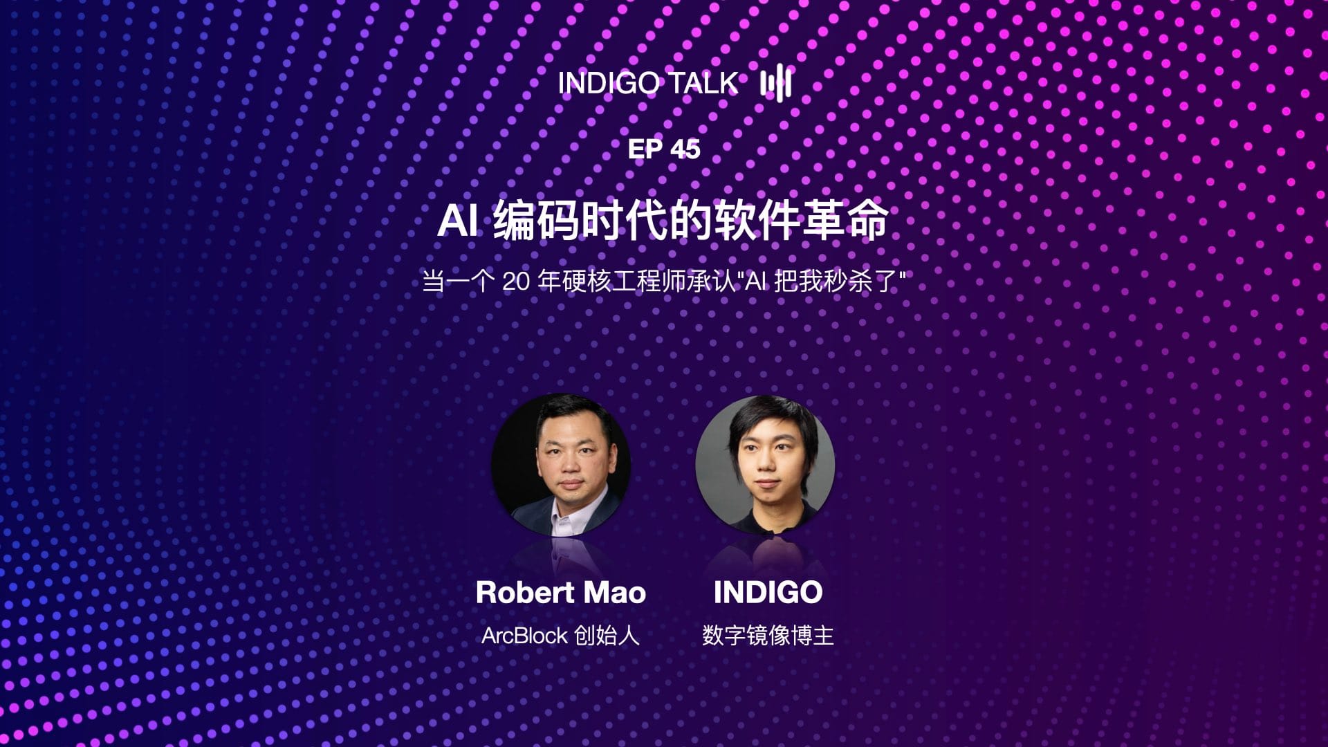 INDIGO TALK / AI 编码时代的软件革命 - EP45