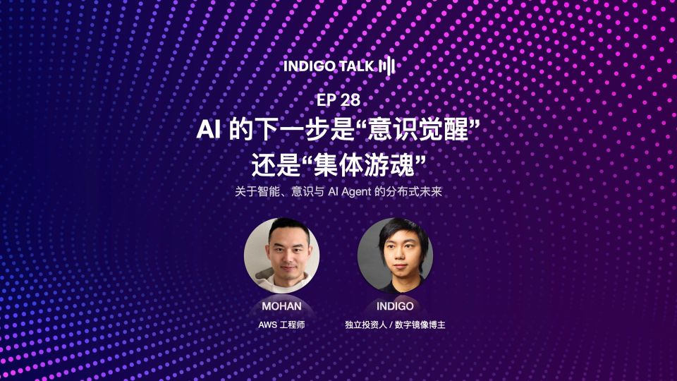 INDIGO TALK / AI 的下一步是“意识觉醒”还是“集体游魂”？- EP28
