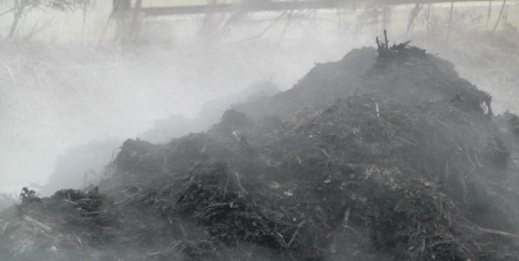 Hot composting