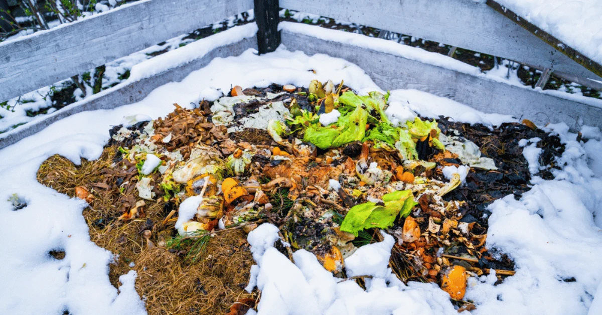 Compost pile covered in snow.