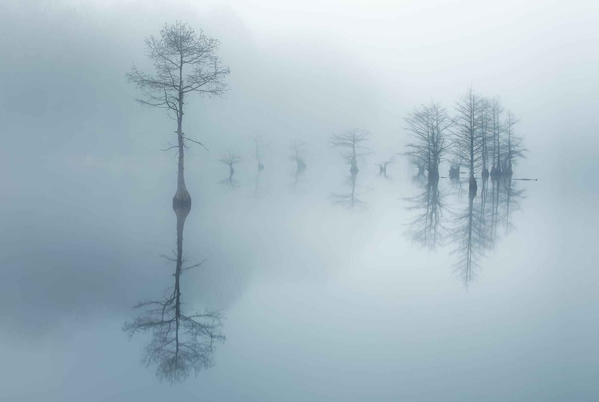 To Buddha and Beyond