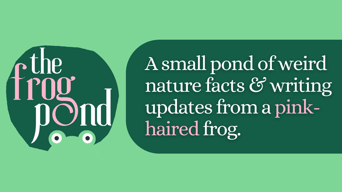 The Frog Pond: A small pond of weird nature facts and writing updates from a pink-haired frog.