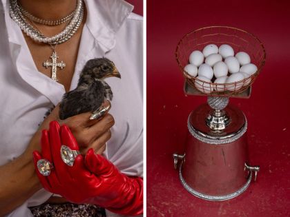 Neighbors flock to backyard chicken coops for fresher and cheaper eggs