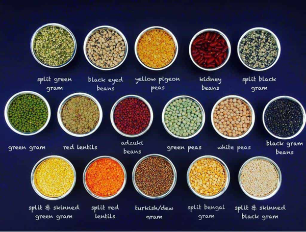 Is OIT for Pea, Chickpea and Lentil Allergy available?