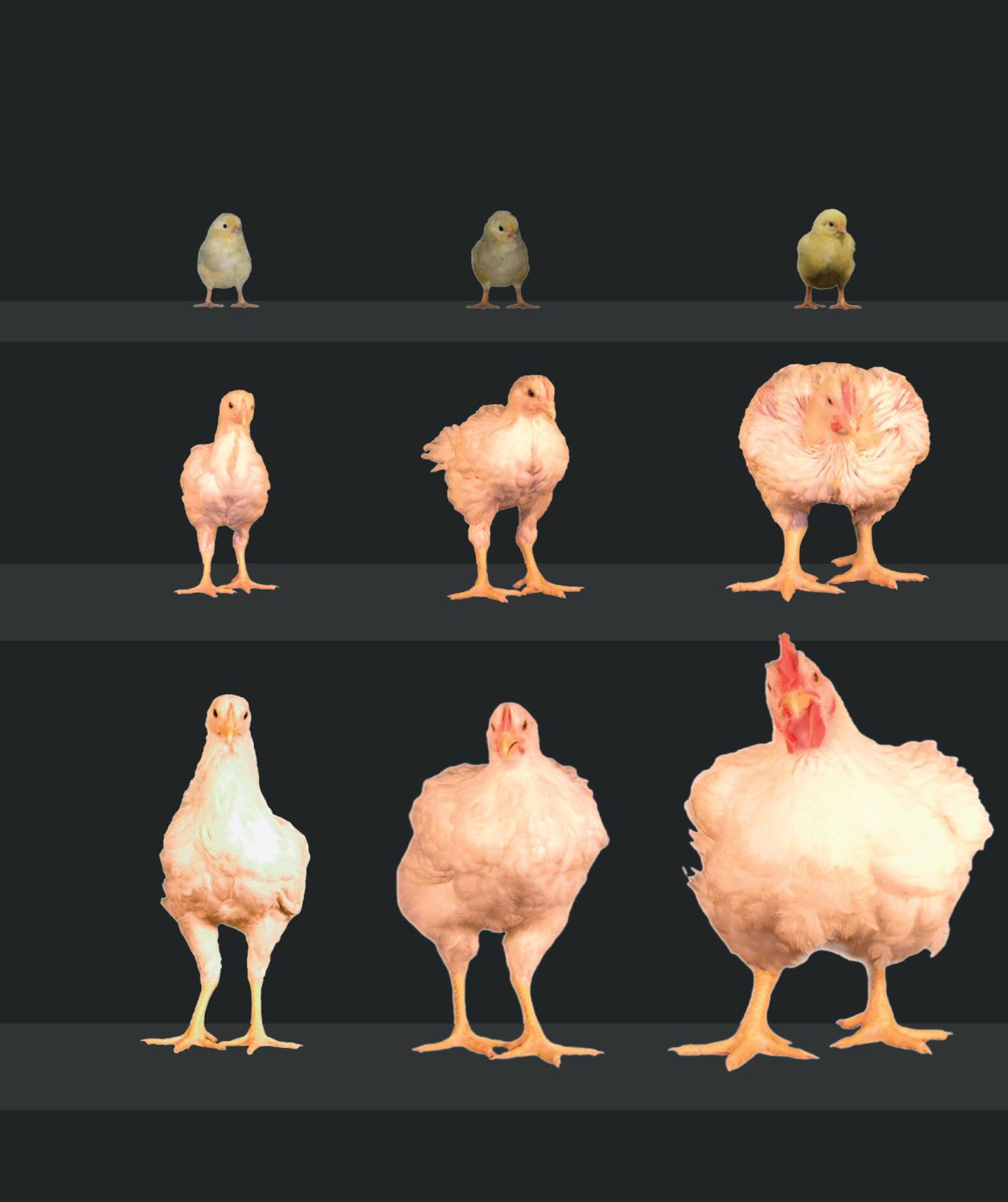 BN-LO425_backgr_16U_20151204102712